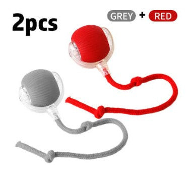 Pounce&Chase Interactive Pet Ball