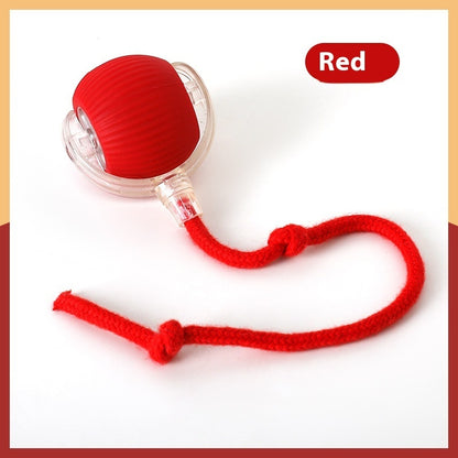 Pounce&Chase Interactive Pet Ball