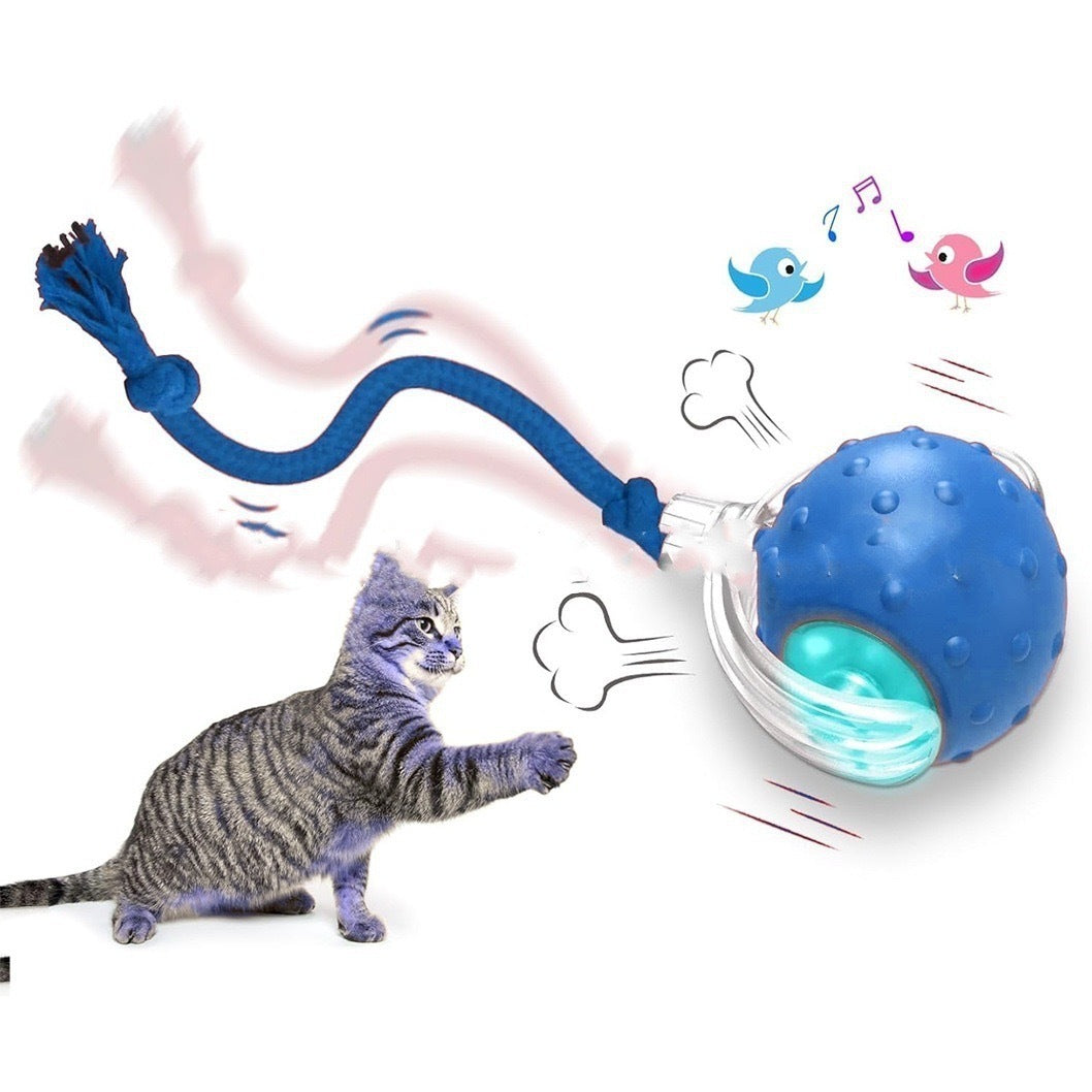 Pounce&Chase Interactive Pet Ball